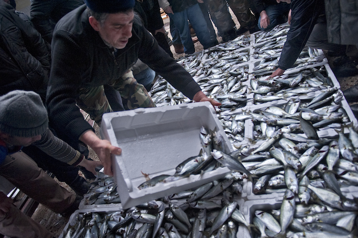 Denizler  ve kıyı balıkçılığı için yardım çağrısı